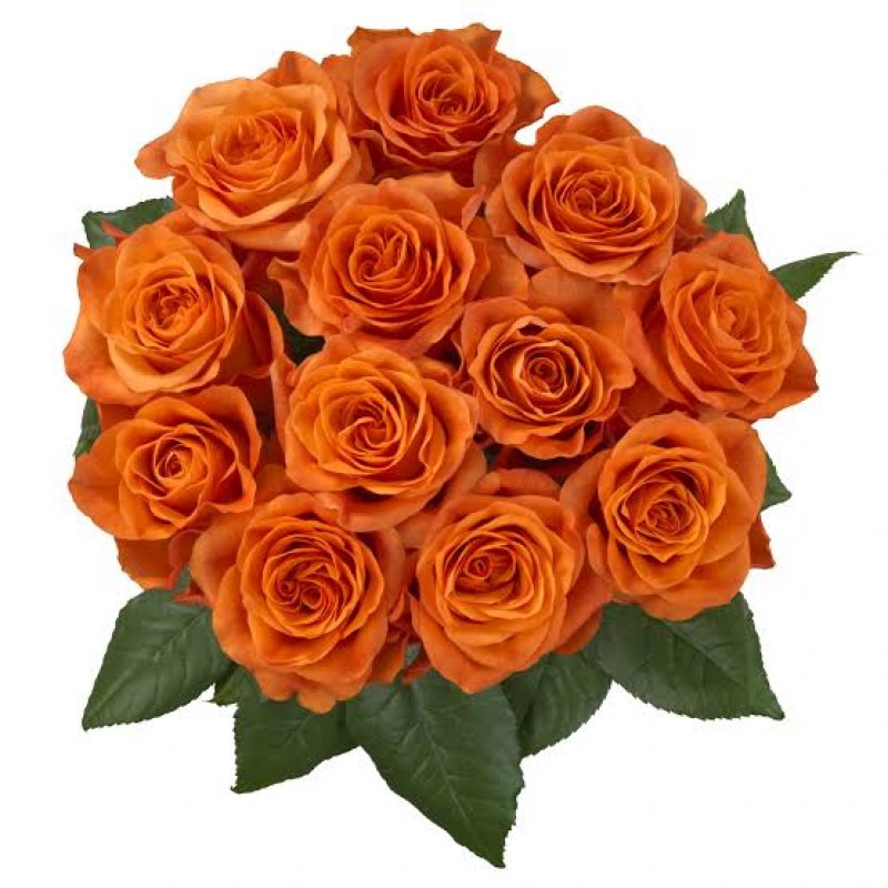 Roses from Kenya